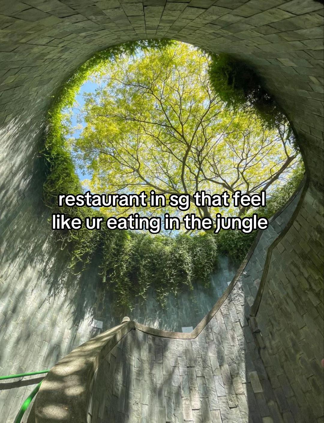 Aesthetic Restaurants